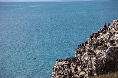 《牧场物语 Welcome！美丽人生》新宣传片公布